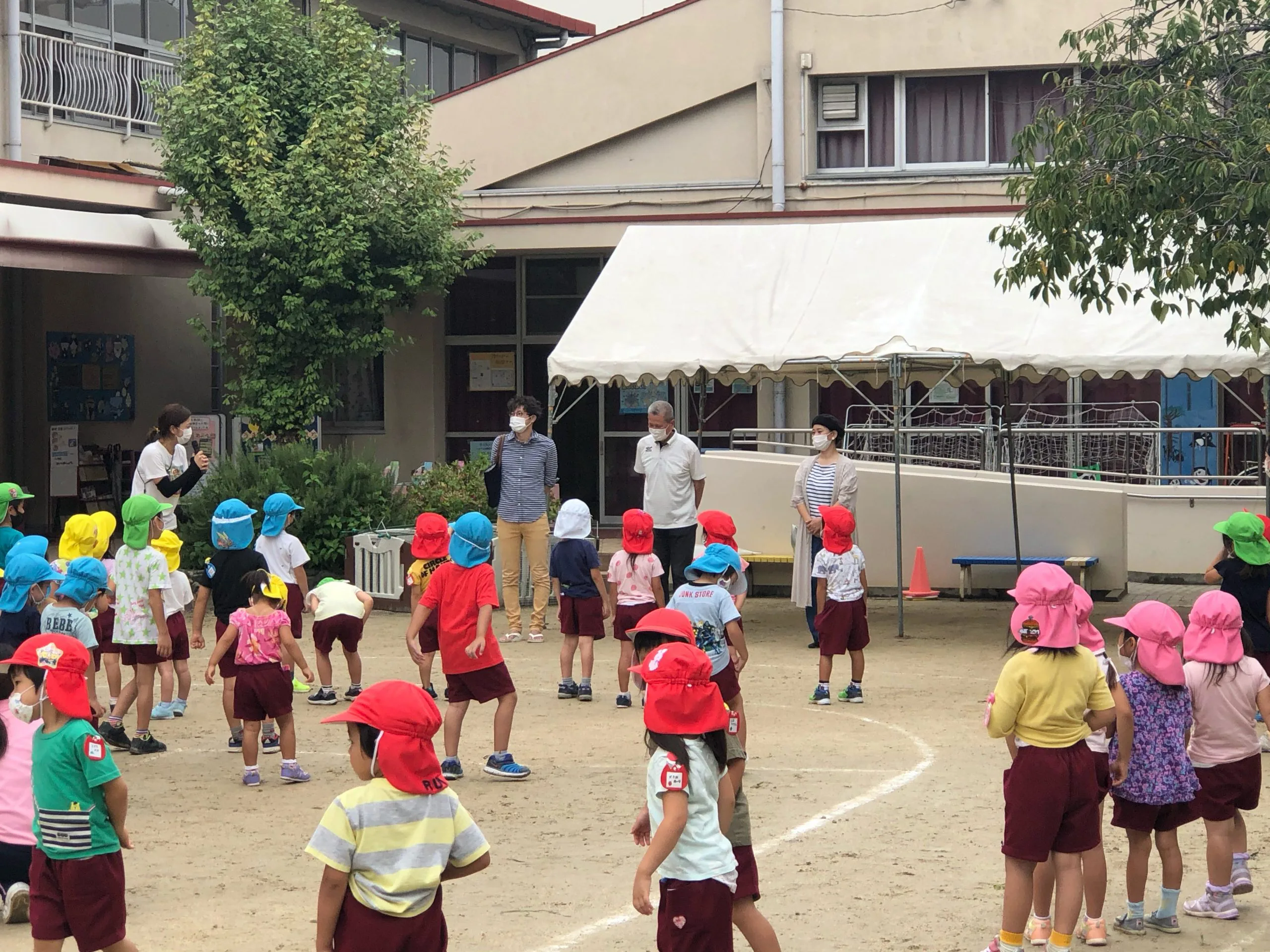 常盤幼稚園で育ててくれているパプリカを収穫しました 阿倍野区 子ども 青少年情報 常盤地域活動協議会 大阪市阿倍野区